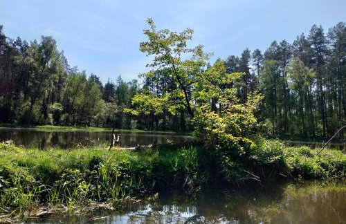 Leśna Chata kuracyjna nad rzeką z sauną w Borach Tucholskich - Foto 54