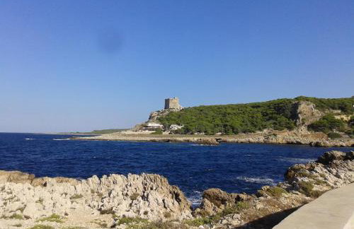 Palazzo Stapane - Foto 14