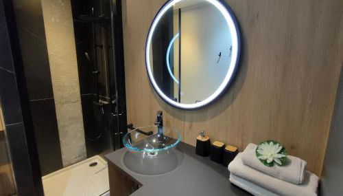 Magnifique 3 étoiles en hyper centre avec place privée - Foto 4