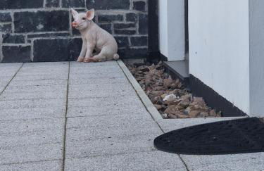 Aughrim Barn - Foto 24