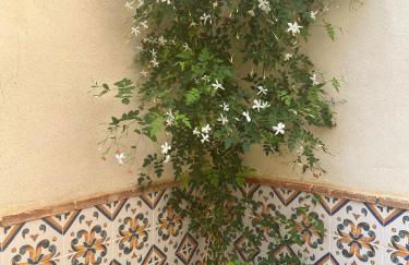 Hort de les Oronetes - Foto 24