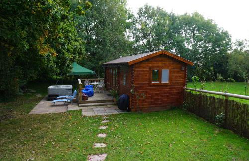 The Cabin with Hot Tub - Foto 17