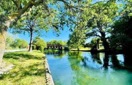 Douceur de vivre en Provence - Foto 16