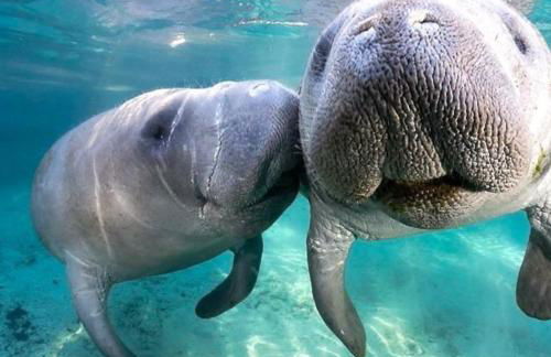 New 6min to 3 Sister Springs, Spacious, Fun with Game Room - Foto 52