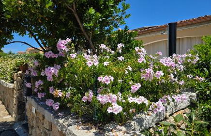 Villa Angedras - Foto 26