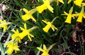 Perlenbachtal - Foto 19