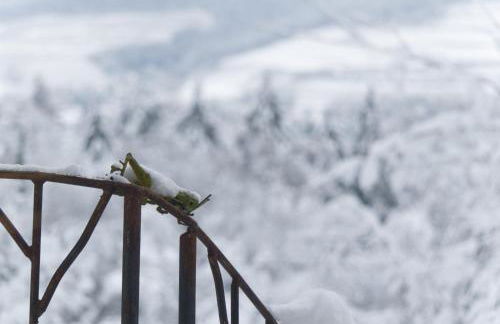 Le Grand Petit Prince - Domaine de Charme - Jacuzzis privatifs - Foto 71