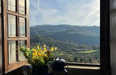 Casa da Mena - Casa de Campo no Caramulo - Foto 15