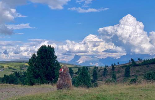 Apartment HaNiLe - Foto 59