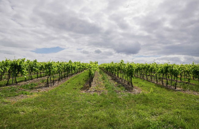 Chic Apartment in Segonzac With Swimming Pool - Foto 76