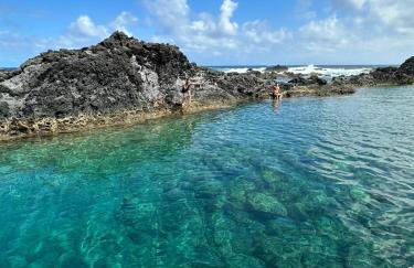 Villa Estrelitzia sea view 1 à 6 p - Foto 17