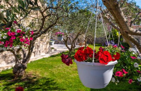 Awesome Home In Benkovac With Wifi - Foto 20