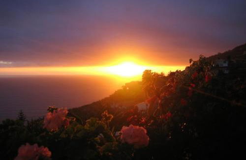 Apartamento do Sol - ETC Madeira - Foto 19