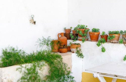 Casa São Sebastião - Foto 32