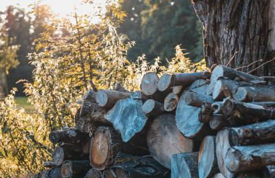 Vierseitenhof Appartements - Foto 76