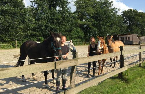 Ferienhof Welsch - Foto 6