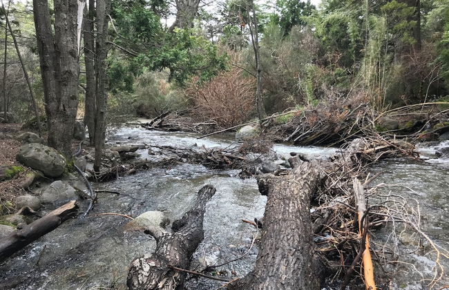 Amazing 5 Bedrooms Chalet in Villa Traful VT1 by Apartments Bariloche - Foto 66