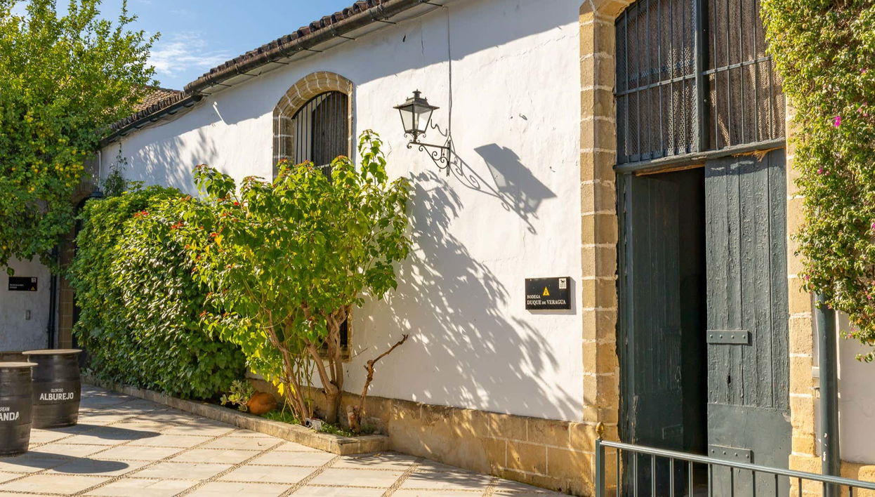 Bodegas Álvaro Domecq Guided Tour