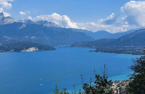 Superbe appartement au centre de St Jorioz - Photo 12