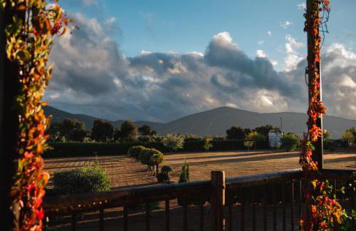 Finca Los Pajaros cerca de Puy du fou Toledo - Foto 5