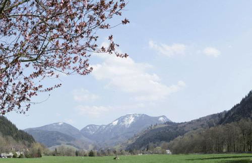 Haus am Wald - Foto 8