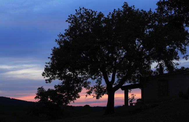 Agriturismo Belvedere Pierini e Brugi - Foto 20