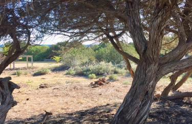 Apartamentos Laura Playa de Migjorn - Foto 29