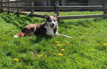 Ty Glo Cottage - Photo 4