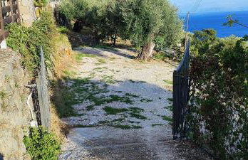 Aris Studio Corfu - Foto 46