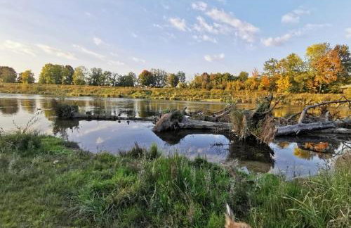 Ferienwohnung Hertreiter in Dingolfing 110qm - Foto 46