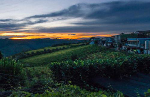 O Ze Ja Dormiu Aqui - Photo 6