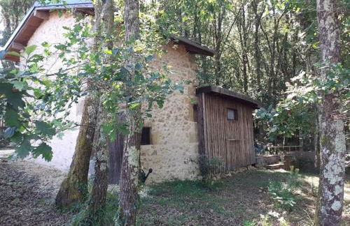 Le gîte de la cabane de l'oiseau - Foto 8