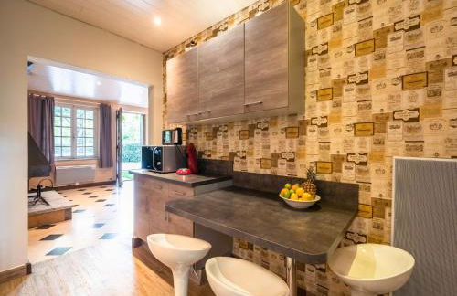 Stone House St Denis with Pool & Views - Foto 13