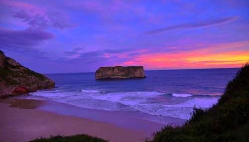 Las endrinas - Foto 4