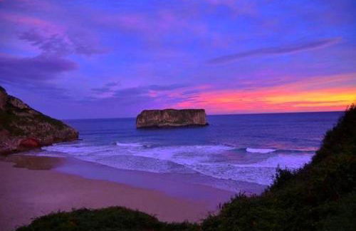 Las endrinas - Foto 4