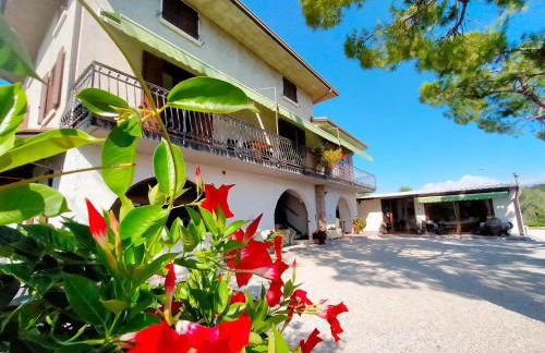 Gabrimilla - Foto 21