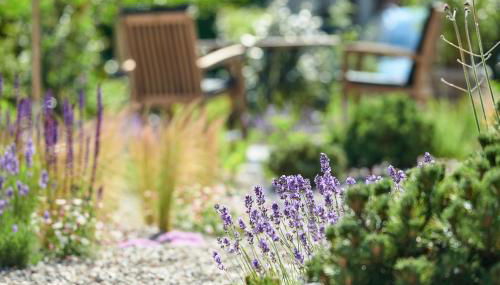 Elsas Enkel - Ferienwohnung Meta - Foto 5