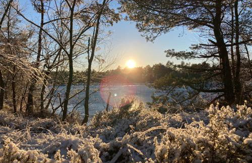 Ferienwohnung Am Holzfeld - Photo 34