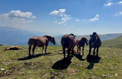 Residencia Pista Llarga - Foto 69