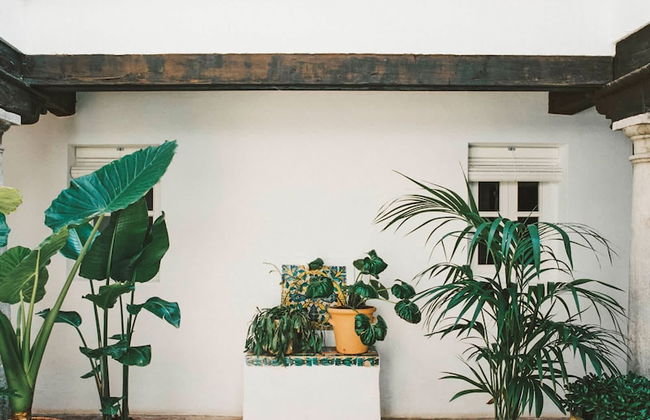 Alhambra Townhouse in Granada - Foto 9