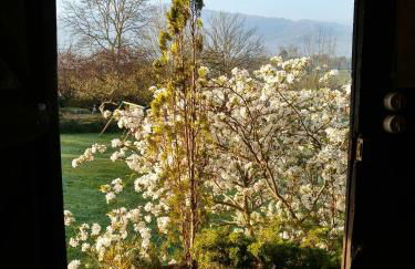 El Pedrueco turismo rural - Foto 34