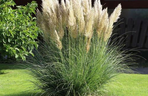 Juwel von Koserow! Ferienwohnung mit Terrasse und kleinem Garten - Foto 17