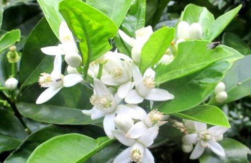 Quinta das rãs - Photo 5