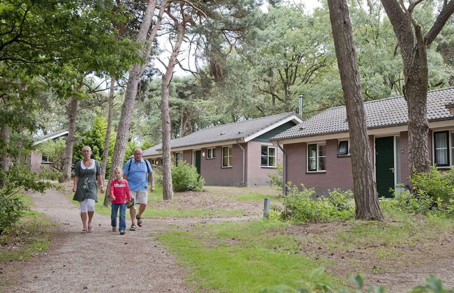 Bungalow in De Peel by Forest Retreat - Photo 19