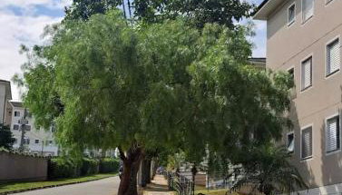 Apartamento lindo e mobiliado - Vida Bela 2 - Foto 2