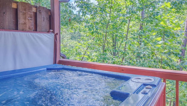 Mountain Mist by Jackson Mountain Rentals - Foto 5, Servicios del alojamiento