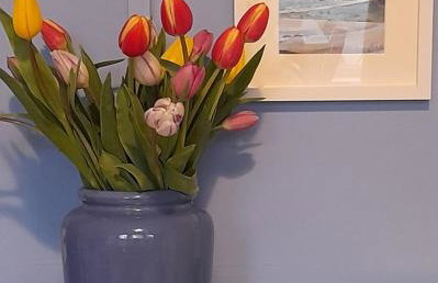 Blue Skies - Foto 18