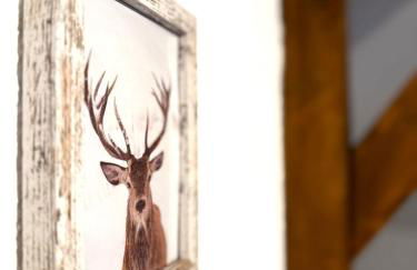 Natur-Apartment am Großen Arber Netflix WIFI - Foto 38