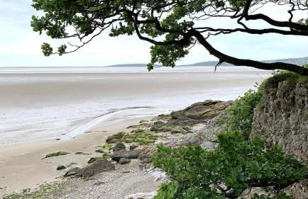 Pye Hall Cottage - Photo 20