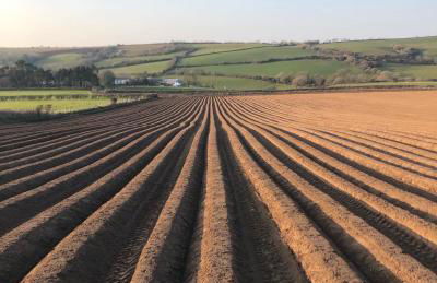 Giltar Grove Country House - Photo 24